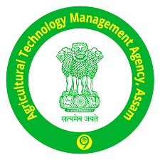 CSS_ATMA_Logo