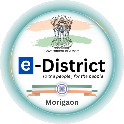 e-District_Logo