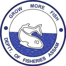FD logo