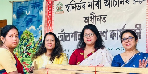 loom distribution